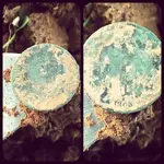 2 cent.webp