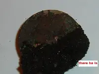 DSCF2683.webp