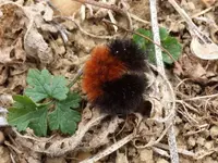 20131121_124059-crop.webp