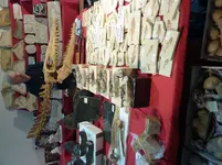 P1000788(1).webp