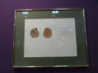 P1000804(1).webp