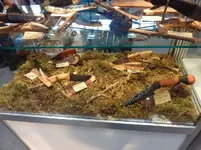 P1000794(1).webp