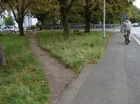 desire-path.webp