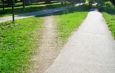 path-shortcut.webp