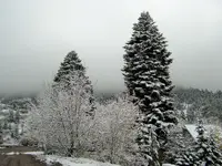 snow in ouray 3.webp