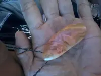20131118_061547.webp