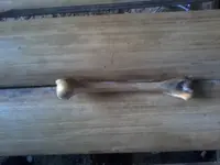 20131118_062957.webp