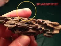 splinter.webp