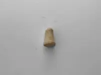 Carved Bullet.webp