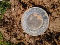 TOONIE2.webp