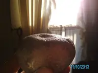 jack 112.webp