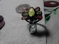 LADYBUG3.webp