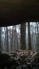 2013-11-16_16-26-36_164.webp
