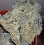 DSCI0003.webp