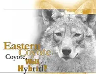 eastern1.webp