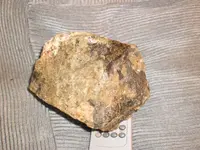 PB231502.webp