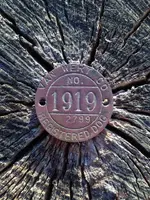 1919 dog tag.webp