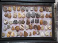 DSCN3518.webp