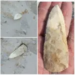 insitu1.webp