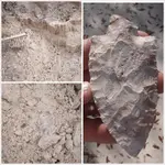 insitu3.webp