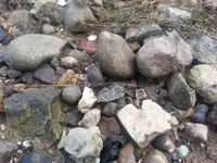 20131123_083836.webp