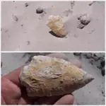 insitu5.webp