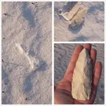 insitu6.webp