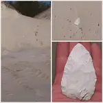 insitu7.webp