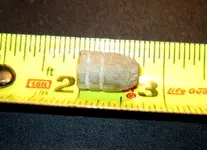 bullet 002.webp