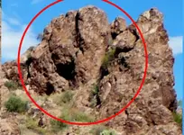 Rock_facecropA.webp