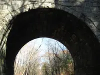 random hunt 014.webp
