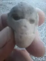 Phone 158.webp