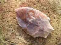 DSC01799.webp