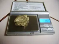Nugget_Scale.webp