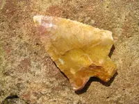 DSC01816.webp