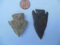 DSCN0737.webp