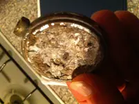 pocket watch 005.webp