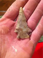 image-162518198.webp
