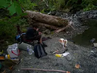 first pics 007.webp