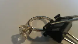 IMAG0609.webp