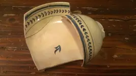 IMAG1350.webp