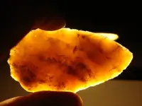 translucent 2.webp