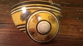 IMAG1351.webp