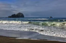 026222_322.webp