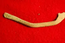 arrowheads 082.webp