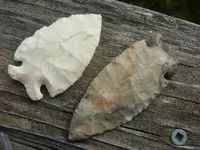 DSCN1220.webp