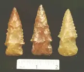 museum6.webp