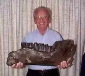 mastodonjawhasco.webp