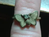 butterfly.webp