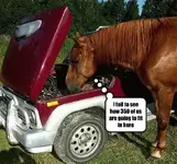 horsepower.webp